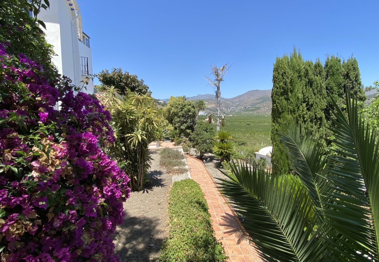 Villa in Almuñecar - Amazing 6 bed villa with private pool and views