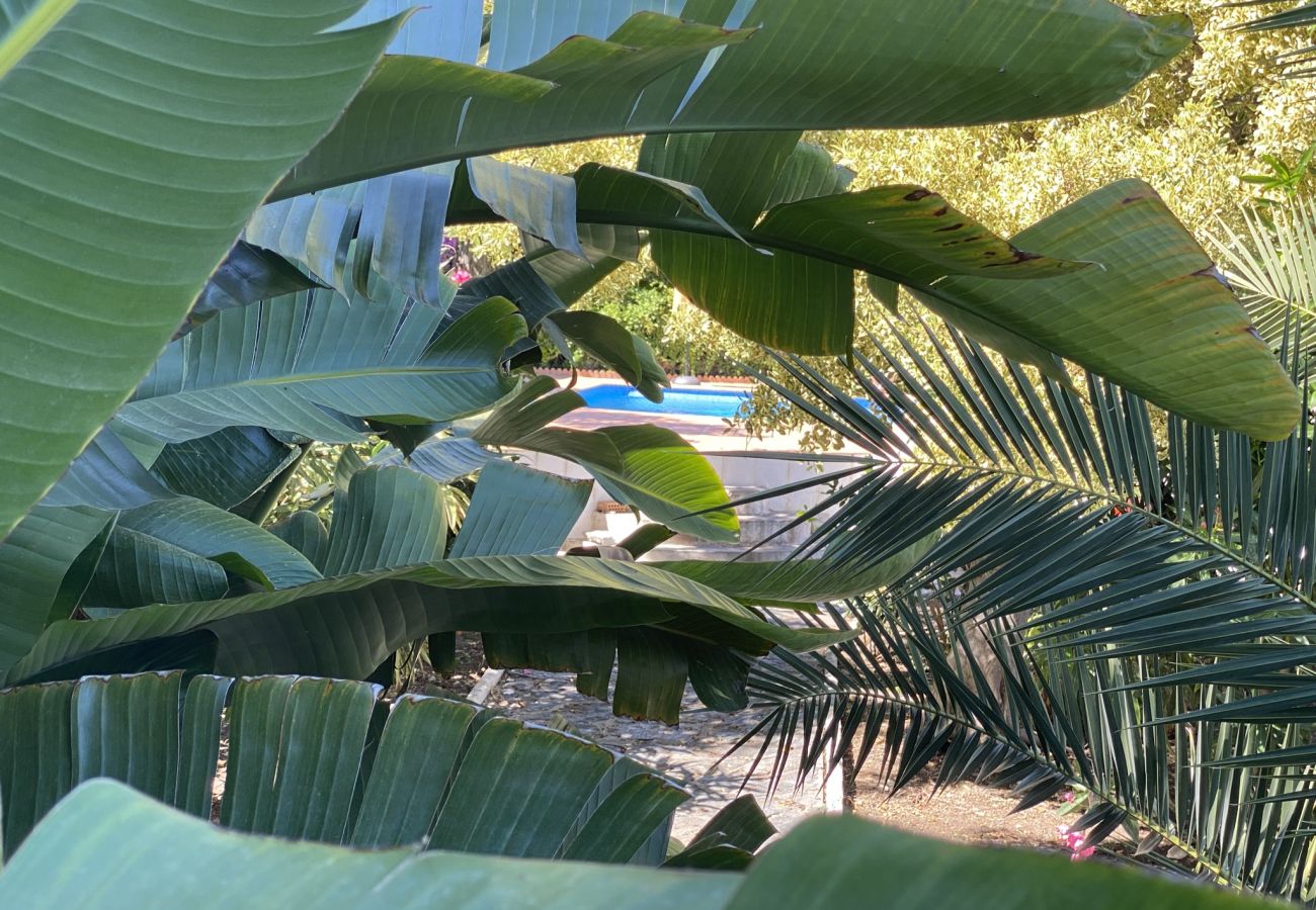 Villa in Almuñecar - Amazing 6 bed villa with private pool and views