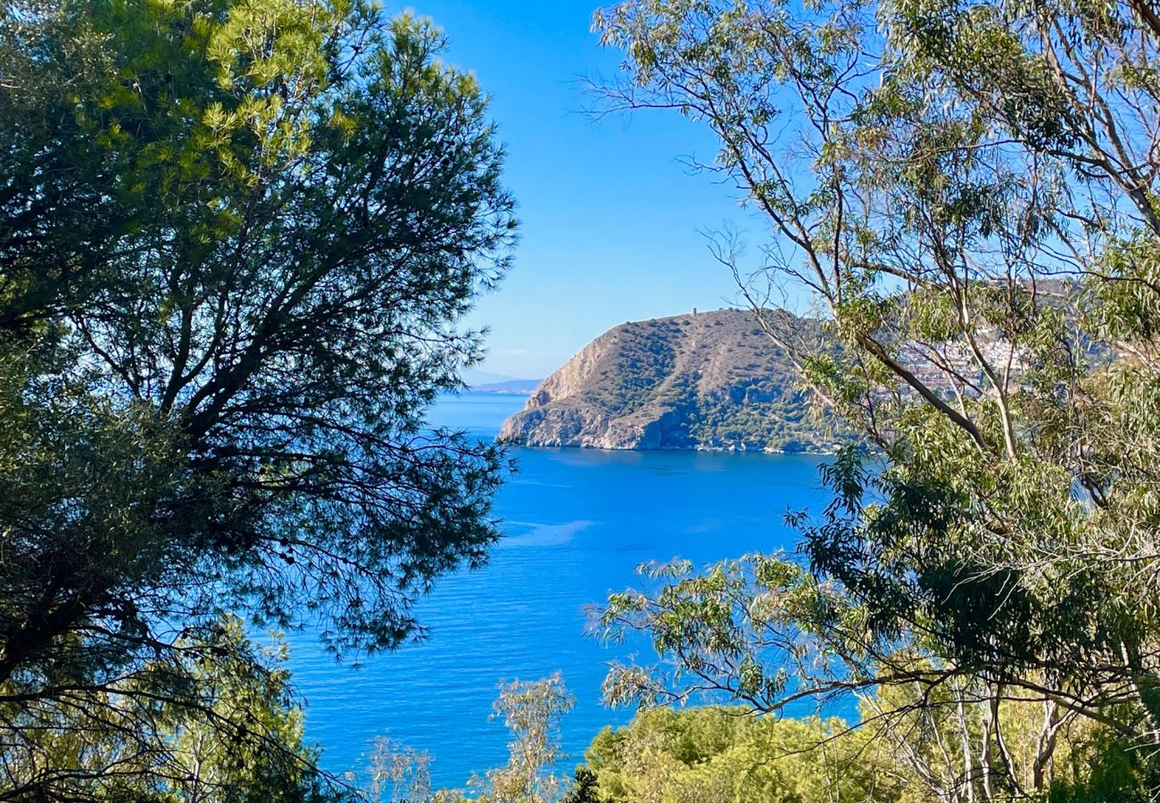 Apartment in La Herradura - South facing apartment, 7 mins walk from beach