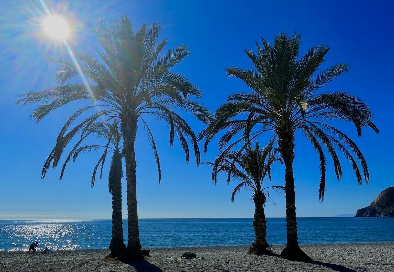 House in La Herradura - Lovely three bedroom house with communal pool and views